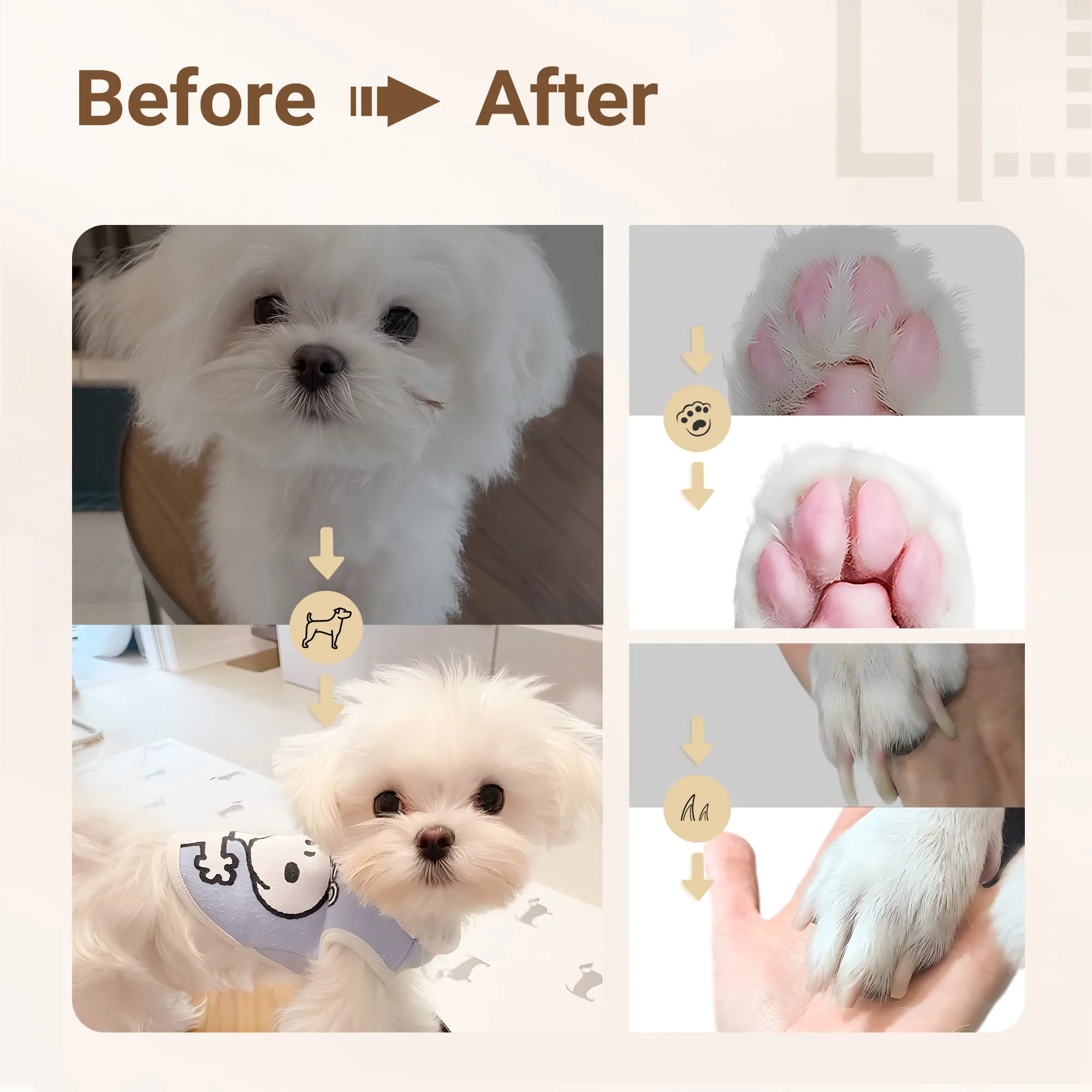 Ultimate Pet Grooming Kit πΆ 4-in-1 Electric Clippers with 4 Interchangeable Blades