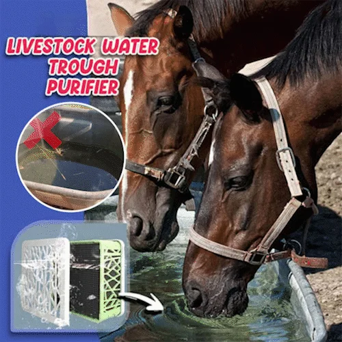 Manger Water Filter Cubes Suitable For Livestock Tanks,Fish tanks